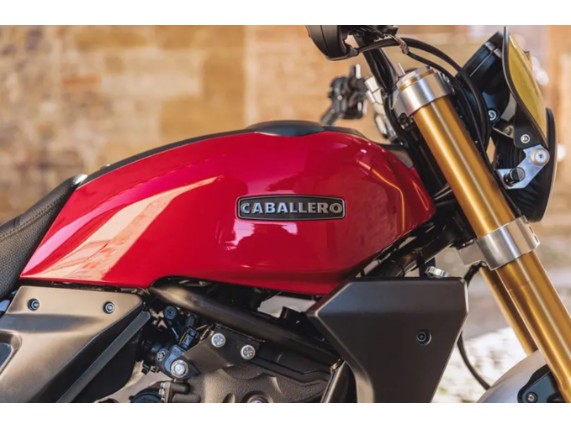 FANTIC 700 Caballero E5+, ZFMCA701