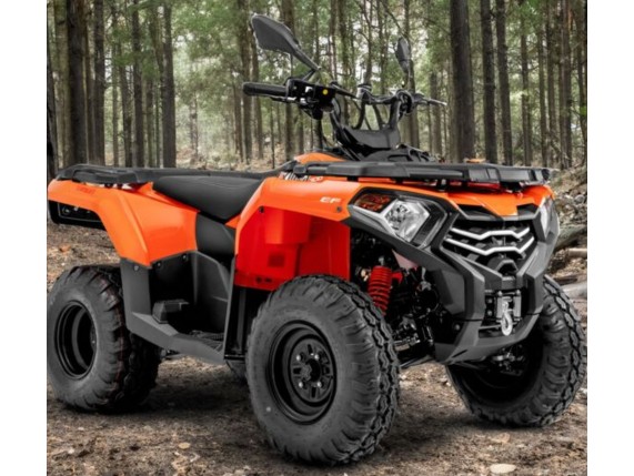 LONCIN 300 X-Wolf, 0004991