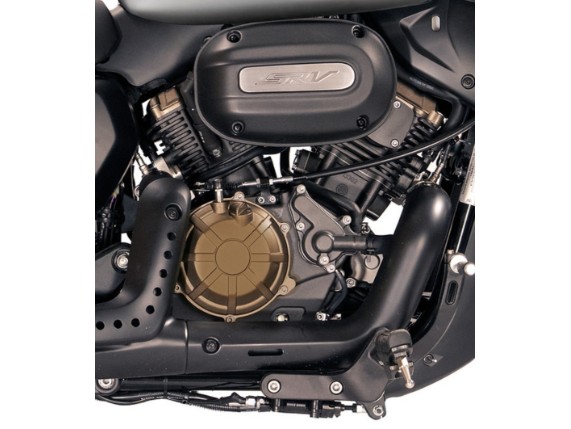 QJ-MOTORS 125 SRV 12 Cruiser, 0004992