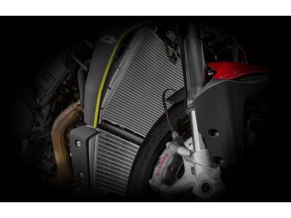 QJ-MOTORS SRK 921 Naked, 0004954