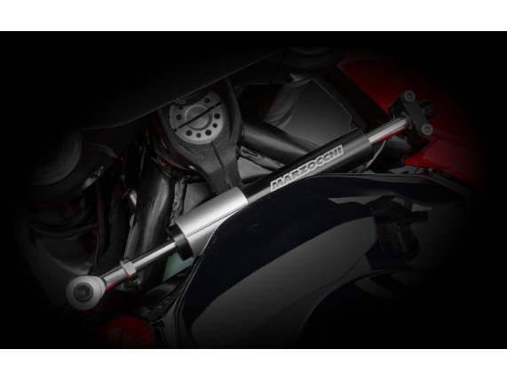 QJ-MOTORS SRK 921 Naked, 0004954