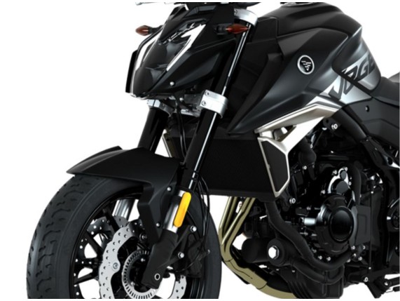 VOGE 625 R Naked, 0004840
