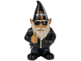 Gnome Ace
