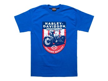 Dealershirt Schwarzach Partisan
