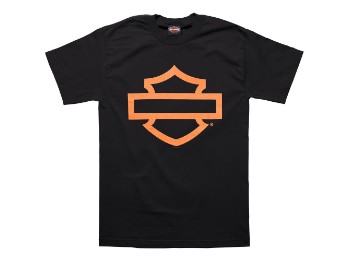 Dealershirt Regensburg Open B&S