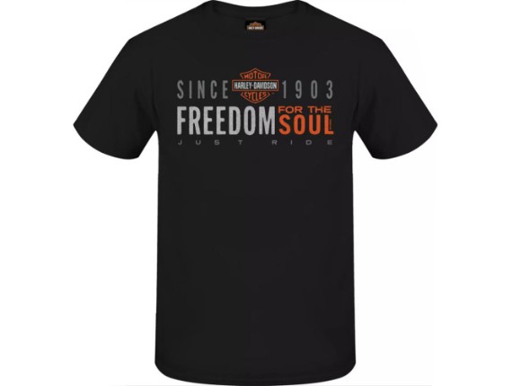r0048673-lp