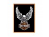 14228, HD Eagle Logo Magnet