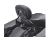 54248-09A, SISSY BAR UPRIGHT, SHORT, GLOS