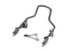 54248-09A, SISSY BAR UPRIGHT, SHORT, GLOS