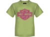 R004565-2/3, Bar & Shield Youth T-Shirt