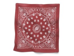 American Heritage - Bandana  - Rot 