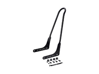 Einteilige starr montierte hohe Sissy Bar - schwarz