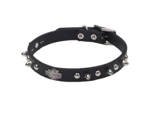 Coastel Pet Leather Spike Collar Black with Spikes