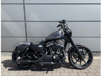 883 Iron
