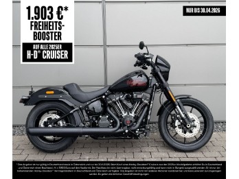 Low Rider S 117