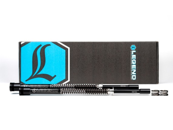 04140747, AXEO FORK SPRINGS STANDARD 49M