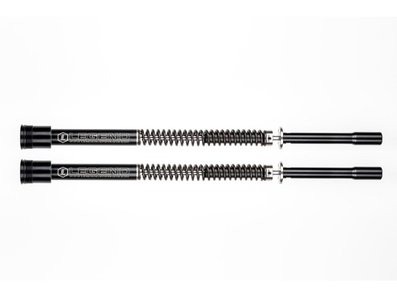 04140747, AXEO FORK SPRINGS STANDARD 49M