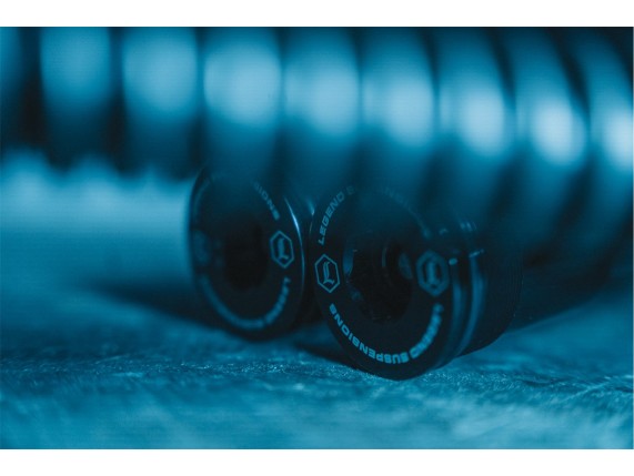 04140747, AXEO FORK SPRINGS STANDARD 49M