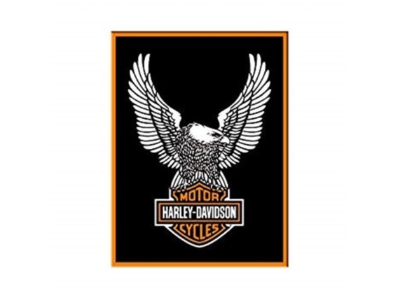14228, HD Eagle Logo Magnet