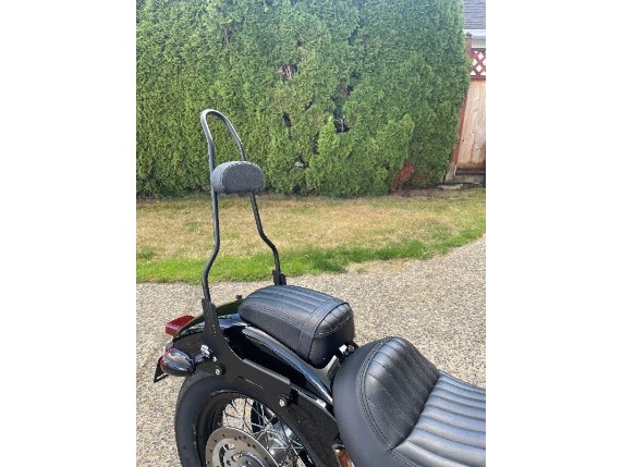 15010760, SISSY BAR-GB 18+ FLDE FLMC FLH