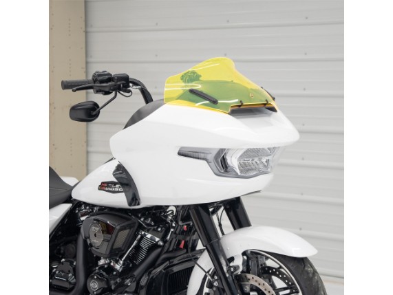 23100863, FLTR - 2023+ - FLARE WINDSHIEL