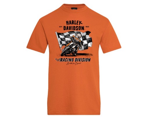 40294924-2XL, Carving T-Shirt