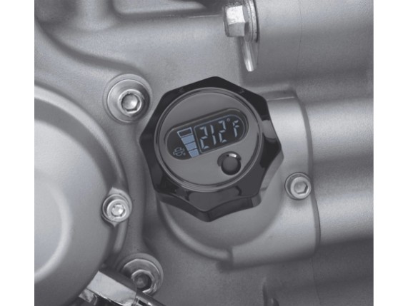 63065-09A, OIL LEVEL/TEMP DIPSTICK, BLACK