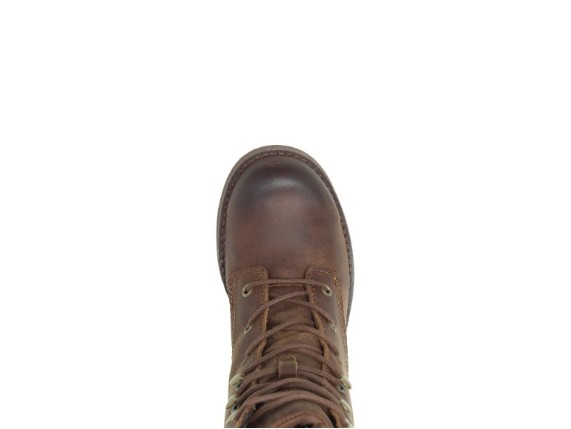 D84750-37, Dorilee