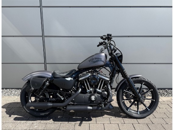 Harley-Davidson 883 Iron, 0009589