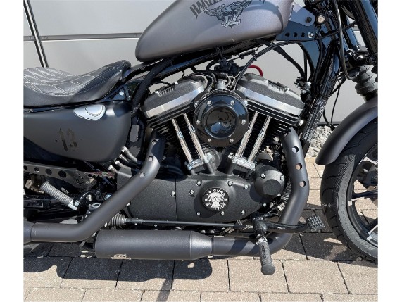 Harley-Davidson 883 Iron, 0009589