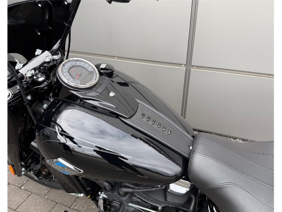 Harley-Davidson Heritage Classic 117, 0009801