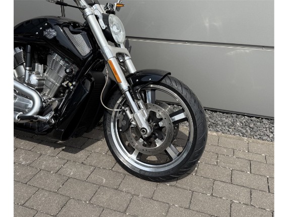 Harley-Davidson Muscle, 0003821