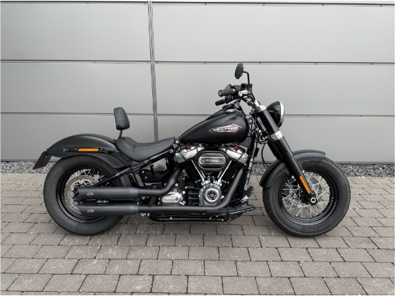 Harley-Davidson Slim, 0009876