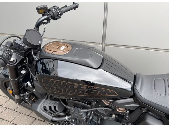 Harley-Davidson Sportster S, 0008676