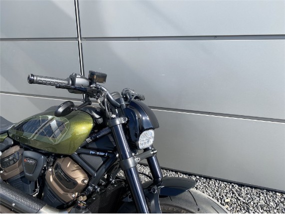 Harley-Davidson Sportster S Umbau, 0008777