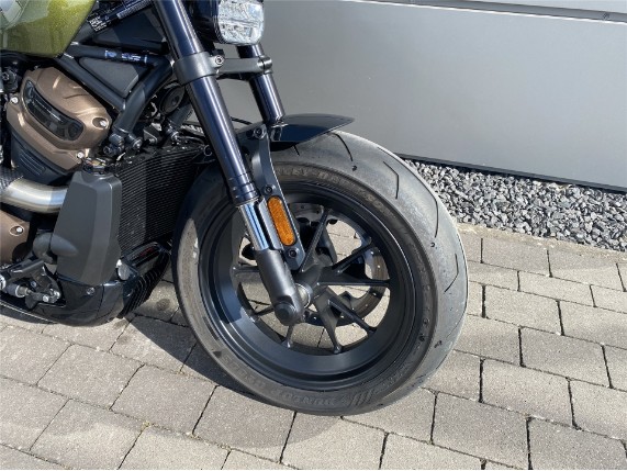 Harley-Davidson Sportster S Umbau, 0008777