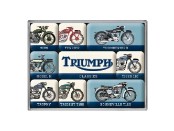 Triumph Magnetset Model Chart