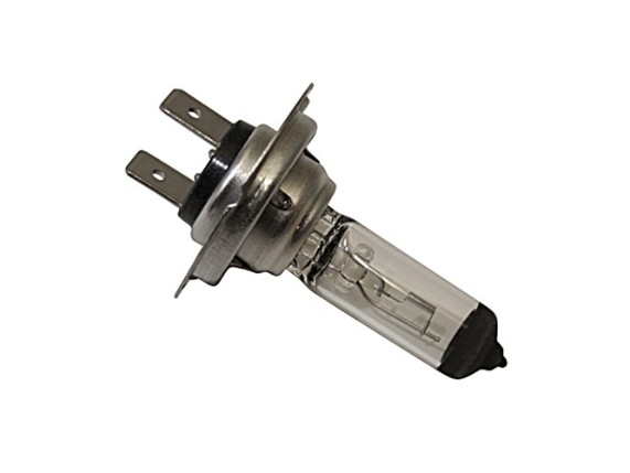 209-119, H7-Birne 12V 55W PX 26 D; Heavy Dut