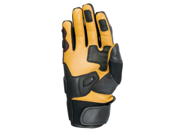 pitlane-palm_5_1