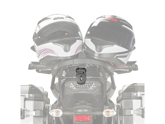 S220_2helmets-ok