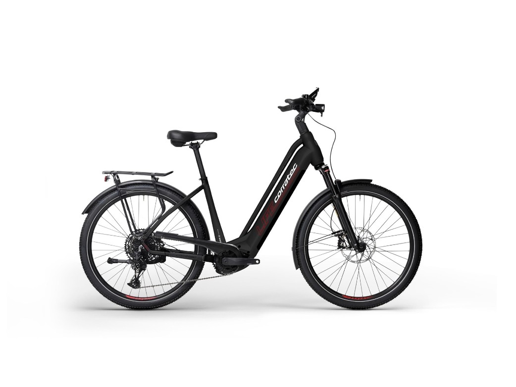 Life CX 6 12S Intuvia100 625Wh