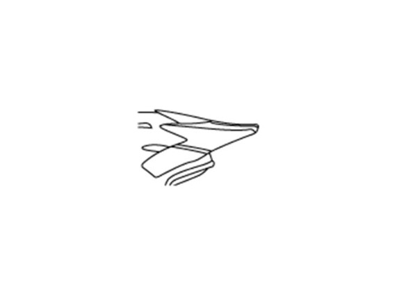 5d1cbb893e935312ccdd3f50