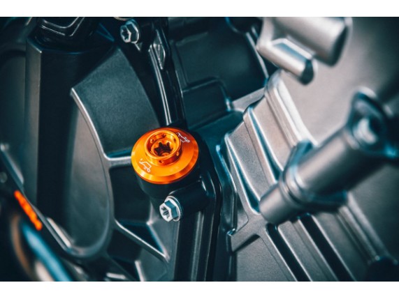 pho_pp_mon_462193_5803098500004__oil_plug__mounted__sall__awsg__v1