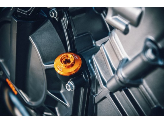pho_pp_mon_5803098500004__oil_plug__mounted__sall__awsg__v1