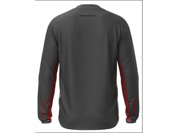 Hebo shirt grey hinten