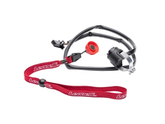 Kill switch electric