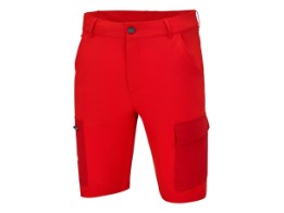 Team Shorts