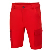 Team Shorts