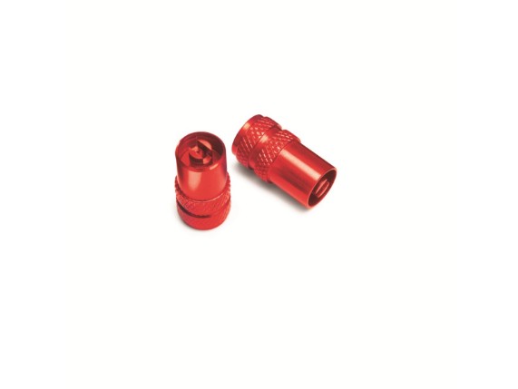 pho_gg_pp_nmon_77710976050fa_valve_cap_set__sall__awsg__v1
