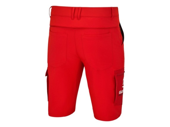 pho_gg_pw_pers_rs_92204_3gg25002260x_team_shorts_back__sall__awsg__v1